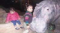Samar Ahmed
