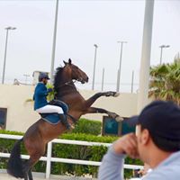 Bader Al-Hathal