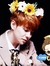 Suin Kim