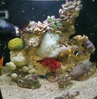 Mohamed Abouelhassan