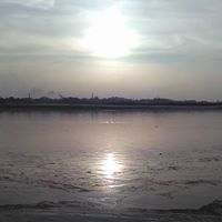 Krishna S Bhatt