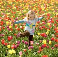 إيناس الحسن