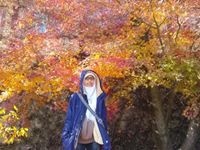 V. Marsha