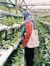 Hanisah HR