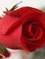 Hasliza...