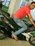 Sarvesh...