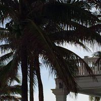 Mindy Sheffler Offit