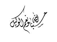 مصطفى عبد الحى