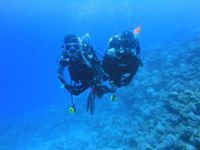 جهادحسن المياد