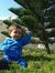 Hadeel ...