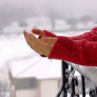 غربة الياسمين