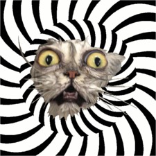 Stephanie