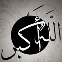 ميثام شاهين