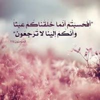 Ahmed AboElnasr