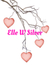 Elle Silver