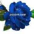 Payam New