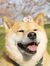 トゥ ルオン