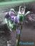 Prashan...