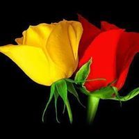 قياس الجودة