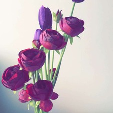Fatimah Ameen