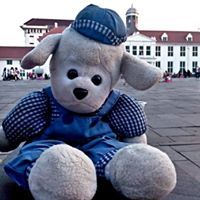 Yuanggi Anggraini