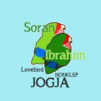 Soran Ibrahim