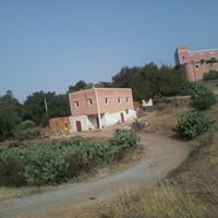 رشيد اسلمان