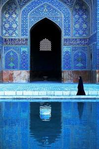 صافي محمد علي