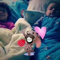 Полско цвеќе