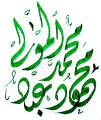 محمود عبد المولى