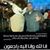 Bakr Magdy