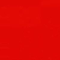 بتول زين العابدين