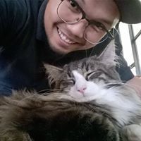 Amir Syafiq