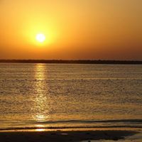 عاصم الأركاني