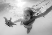 Trang Tròn Một Cục