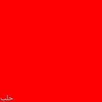 Yazeed Daoud