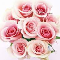 Hafsa Yusuf