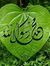 Ahmed A...