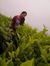 Shree L...