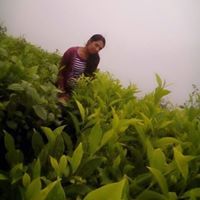 Shree Lakshmi
