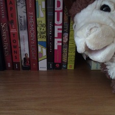 Luke (Lord of the Llamas)