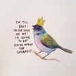 Robin