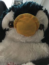 Chikin Byrd