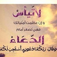 محمود الشيخ أحمد