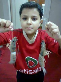 ابومعاذ العزالي