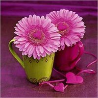 جوانا عبدالله