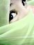Wani Yu...