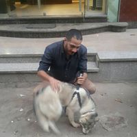 Amir Assal