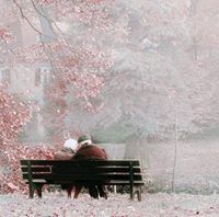 Togethër Pärädisë