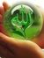 Noor Ul